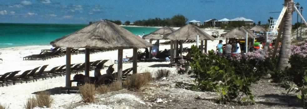 Beachfront bar and huts