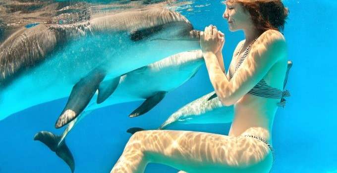 Lady under water swim with a dolphin Bahamas