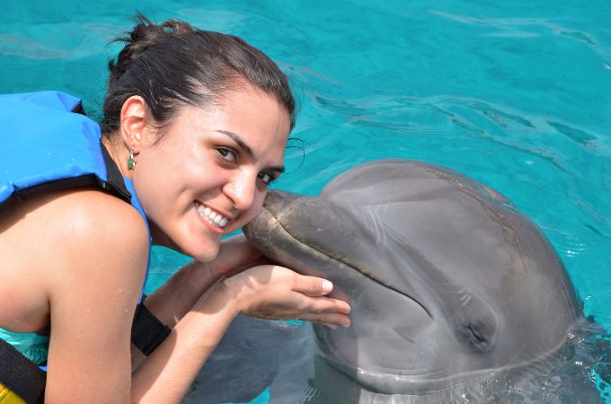 Swim with the Dolphins Bahamas
